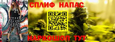 прущие крисы Лесосибирск