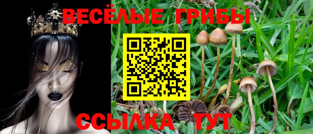 Среднеуральск  Галлюциногенные грибы Psilocybe  Вход с VPN  Галлюциногенные грибы Magic Shrooms 